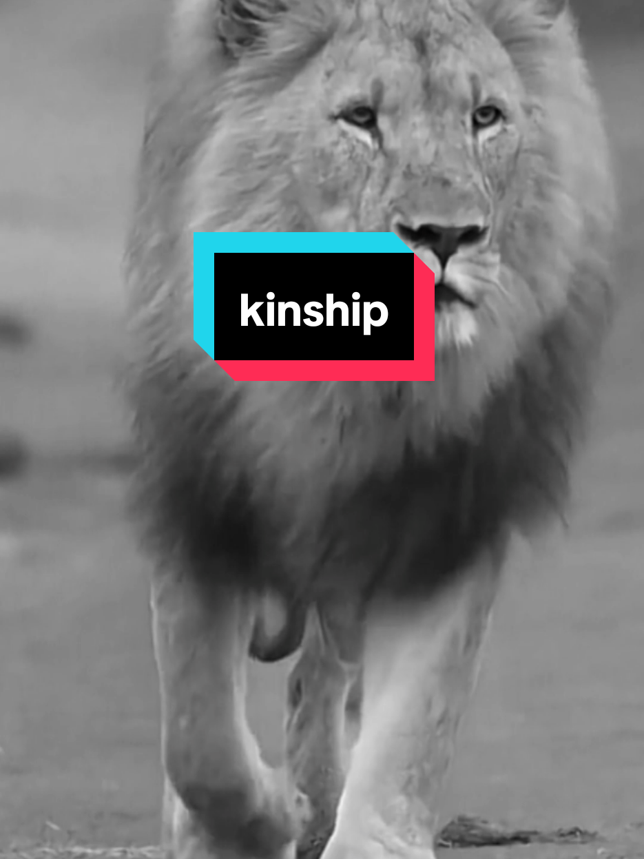 نحن لا نقطع صلة الرحم We do not sever family ties #اقتباسات #حالات_واتس #تيك_توك #اكسبلور #ترند #كلام_من_ذهب #تحفيز #عبارات #motivation #motivationalquotes #motivationmonday #motivationalvideo #explore #pourtoii #fyp #viral_video #newtrend #treanding #tiktoklongs #tik_tok #السعودية #العراق #الجزائر #المغرب #سوريا #الاردن #الامارات #الكويت #قطر #البحرين #تونس #فرنسا #france #italy 