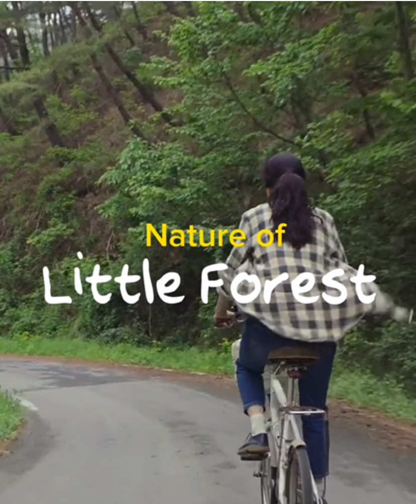 Forest is For Rest 🍃🌳 #littleforest #littleforestmovie #nature #kdramaedit #kdramalover #kdramaaddict #cimatography #naturetharapy 