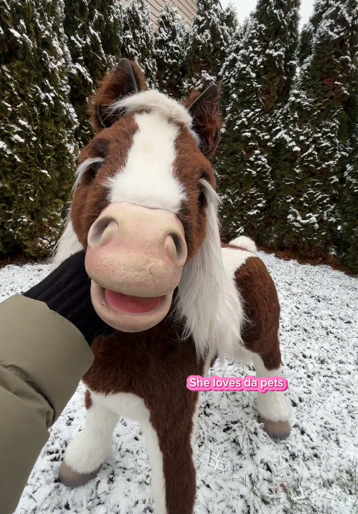 I love her omg Thank you all SO MUCH for the support going on this page right now. It means so much🥹🥹 *ROLEPLAY for ENTERTAINMENT reasons!! I know she isn’t real and don’t treat her like she is real off camera!** #furreal #furrealhorse #smorespony #furrealsmores #furrealfriends #furrealpets #furrealpony #fakehorse #fakehorserp #rp #roleplay #fyp