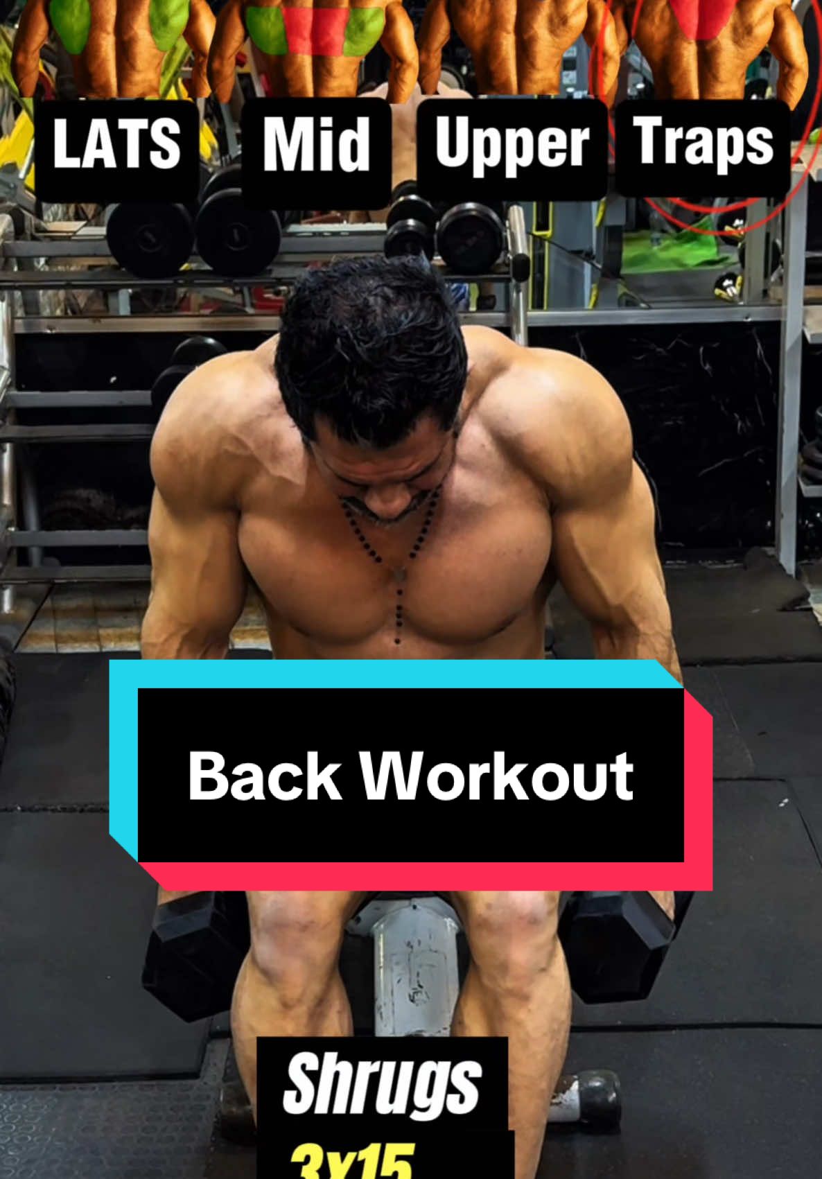 Back dumbbells Workout. Seated Dumbbells workout target all back muscles. Exercise 1: row emphasize the Lats muscle. Exercise 2: rear Delts raise target the middle back. Exercise 3: rear Delts fly target the upper back. Exercise 4: shrugs emphasize the trapezius. #back #backexercise #row #muscle #gym #bodybuilding #Fitness #fyp #foryou 