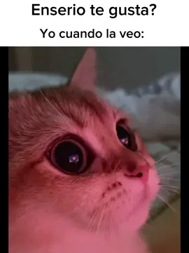 Enserio te gusta       #cuandoteveo #ojitoslindos #esmivida #cat #enamorado #creatorsearchinsights 
