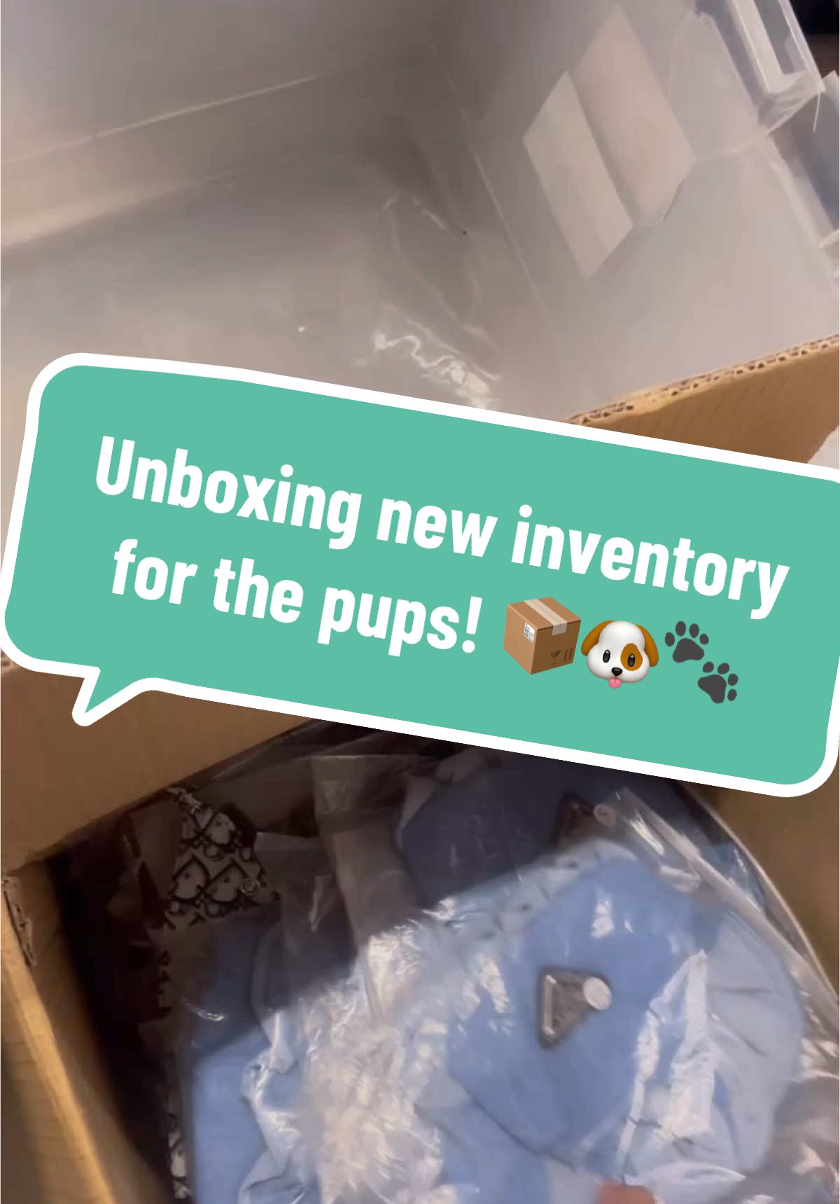 📦🐶 New year, new inventory!  📍Daisy and Dog 1317 W. Davis St. Dallas TX 75208 #dallas #dogs #latinaownedbusiness #SmallBusiness #dogsofdallas