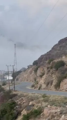 #عشوائيات_مصور🤍🍃 