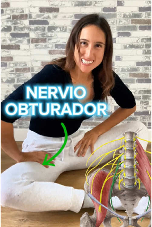 Casi seguro que una parte de esa rigidez que sientes en tu cadera viene del olvidado nervio obturador 🙅🏽‍♀️ La tensión neural comúnmente se confunde con tensión muscular e incluso puede disminuir la movilidad general del cuerpo. Prueba primero el Test 1, si da positivo (al bajar la cabeza aumenta la tensión) el ejercicio de Neurodinamia 1; luego puedes probar el test 2 y seguir con ese ejercicio más avanzado.  Si el primer test da negativo (es decir, no sientes que al bajar la cabeza aumenta la tensión) puedes pasar directamente al test 2. Si ambos test dan negativo enhorabuena 🎊 tu nervio obturador está feliz y relajado 😎 ✈️Si crees que hay alguien que se podría beneficiar de esta información no tengo problema en que lo compartas 🥰 ¡Hasta pronto! #dolordecadera #dolorcadera #aperturadecaderas #estiramientos #estiramientosencasa #estiramientomatutino #fisioterapia #fisioterapeuta #movilidadarticular 