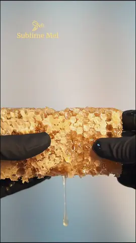 Você já experimentou Favo de Mel? 😋 Um pedacinho da colmeia direto para você! 💛 Consumir o favo, é saborear o mel em sua forma mais pura e natural. Uma experiência única e deliciosa. 🍯 O favo de mel é construído pelas abelhas para armazenar o mel e o pólen. Ao consumir o favo, você desfruta de todos os nutrientes e benefícios do mel, além de saborear a cera, que possui propriedades antioxidantes e anti-inflamatórias. 🐝 Acesse o link da bio e tenha corra para utilizar o Favo Sublime Mel para torradas, iogurtes, frutas e muitas outras receitas. 🤩 #SublimeMel #MeldeVerdade #MelPuro #Mel #Abelhas #Apicultura #ProdutosApicolas #FavodeMel #CeradeMel #ASMR #ASMRMel