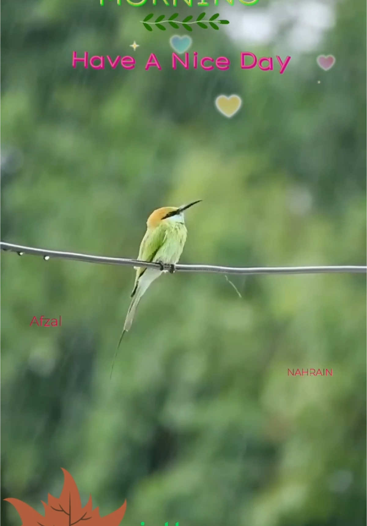 💞ഒന്നും പ്രതീക്ഷിക്കാതെ 💞ഹൃദയം തുറന്ന് സ്നേഹിക്കുക  💞നമ്മളെ സ്നേഹിക്കുന്നവരെയും വേദനിപ്പിച്ചവരെയും. 💞ഒരു തെറ്റിദ്ധാരണയുടെ പേരിലോ  💞അഹംഭാവത്തിന്റെ പേരിലോ ആവാം 💞അവർ നമ്മളെ വേദനിപ്പിച്ചത്. 💞കണ്ണടച്ച് തുറക്കുന്ന സമയം മതി ശ്വാസം നിലക്കാൻ... 💞 മാപ്പ് പറയാൻ പോലും അവസരം കിട്ടിയെന്ന് വരില്ല. 💞കുറ്റബോധമില്ലാതെ ജീവിതത്തിൽ നിന്ന് വിടവാങ്ങാൻ കഴിയുന്നത്  💞ഏറ്റവും വലിയ ഭാഗ്യമാണ് !!! ഒത്തിരി സ്നേഹത്തോടെ സുപ്രഭാതം🌹🌹🌹#goodmorning #morningvibes #വിരഹം #viloin #violin #