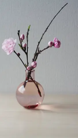 #في هذا اليوم #صباحكم_سعادهـ🌸🍃 #صباحكم_معطر_بذكر_الله_وسعادة_لا_تنتهى🤲 #صباحكم_أحلى_صباح #صلى_على_رسول_الله_صل_الله_عليه_وسلم #مالي_خلق_احط_هاشتاقات🦦 #سجن_صيدنايا_الاحمر 