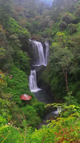 Sarambu Ratte Balla, Tana Toraja, Sulsel #toraja #sulsel #visittoraja #visitsulsel #airterjun #alam #jjs #adventure #waterfall #fyp #fypviral #natural #travel #videoviral #eksplore 