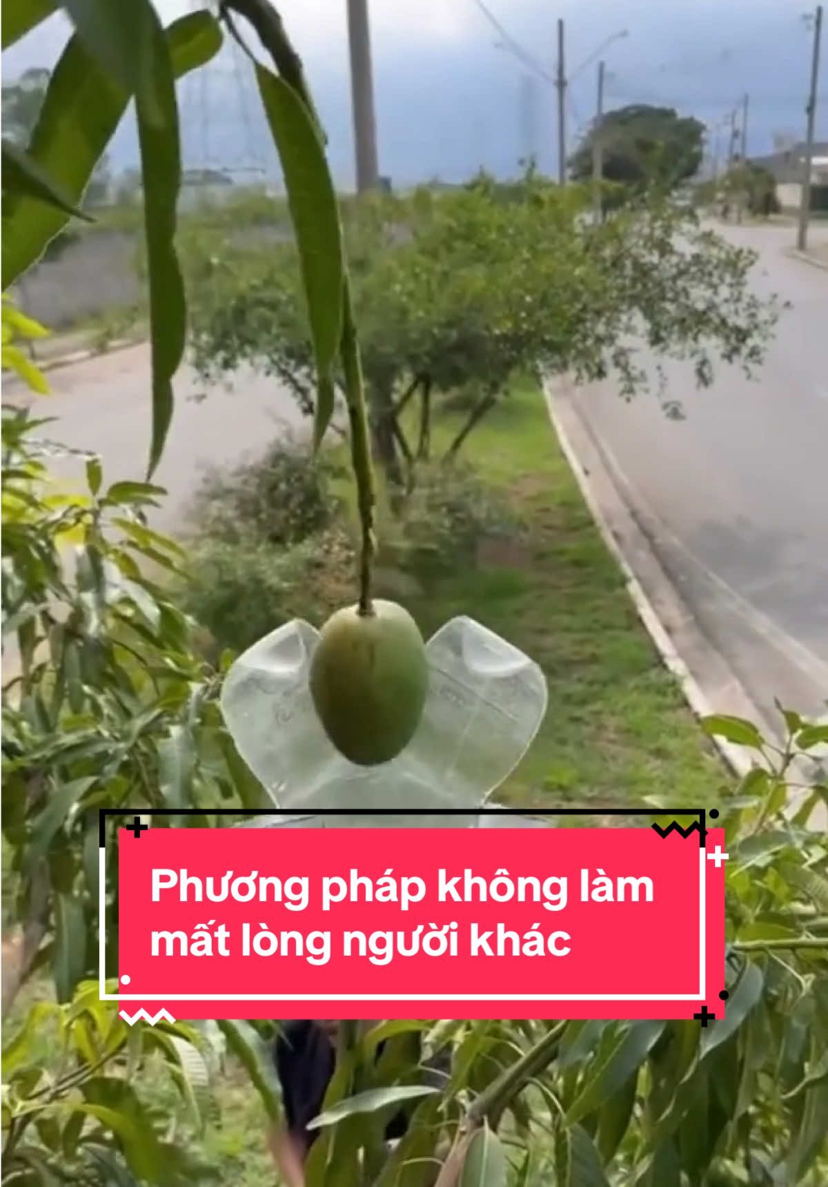 Để tôi chỉ cho bạn phương pháp không bao giờ làm mất lòng người khác #xuhuong #baihoccuocsong #sachhay #cuocsong 
