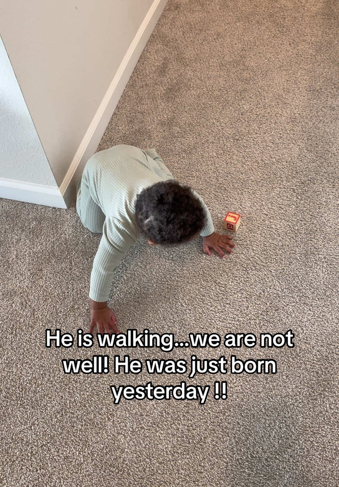 Why do these kids grow so quickly!!! Saddown bash PLEASEEE lol 