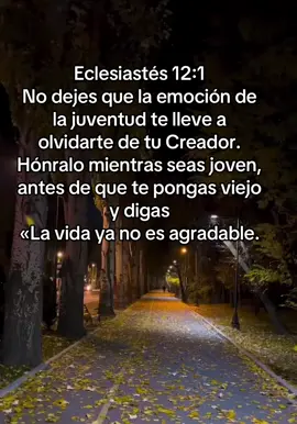 #eclesiastes #12 #paratiiiiiiiiiiiiiiiiiiiiiiiiiiiiiii #textosbiblicos #textosbonitos #textosdeamor #paratiiiiiiiiiiiiiiiiiiiiiiiiiiiiiii #Dios #es #fiel #men #fe #ypfッ #🙏 #✨ #♥️ 