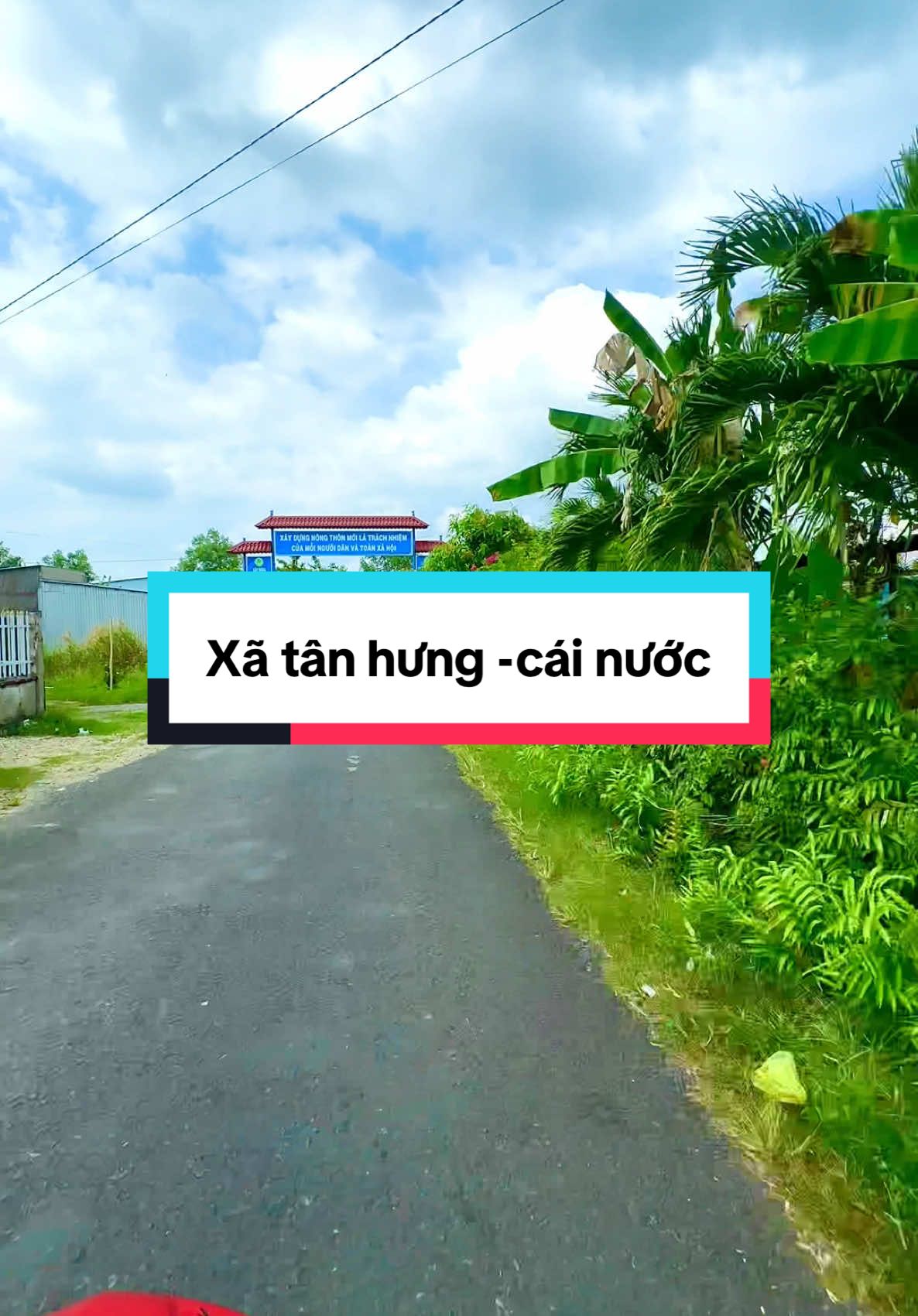 Xã Tân Hưng-Cái Nước-Cà Mau#xuhuong #xuhuongtiktok #chill #canhdep #mientay #69camau #phongcanh 