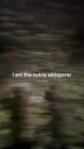 found this vid from almost a year ago. Edit: I’m being told this is actually a bullfrog 