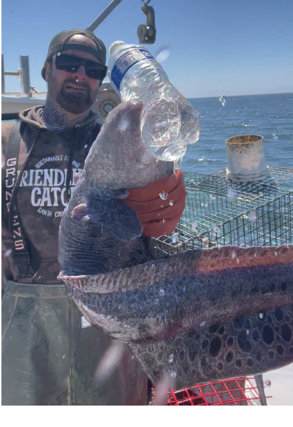 Wolf Eel #friendliestcatch 