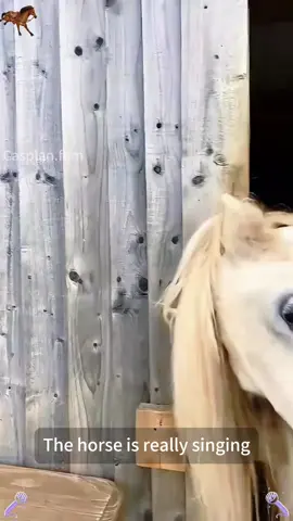 Singing horse🤣🤣#tiktok #foryou #horse #sing #accomplishment 