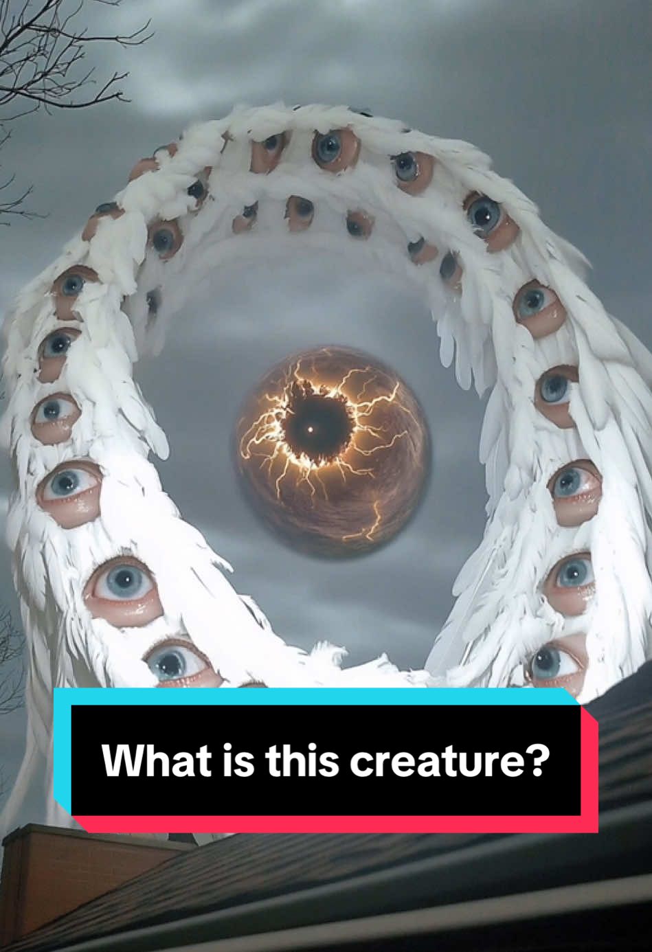 What is this thing? Is this a bird?  #uap #plasmoid #orb #ufo #drone #alien #cryptid #thrones #ophanim #seraphim #biblicallyaccurateangels #caughtoncamera #ufosighting #sighting #creatures