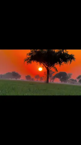 Kaly tery dil da kissa 🖤 @PINDA AALY BOYZ ‼️⚠️ #میرا_سہنا_پینڈ_82_تحصیل_یزمان_منڈی💫🌾🌱🌈🖼 #sada_apna_pind_82 #shoaib_kutwaal #wazir_shoaib #yazman_mandi #yazmanmandi #پینڈاں_آلے #punjab #gaon #گاوُں 