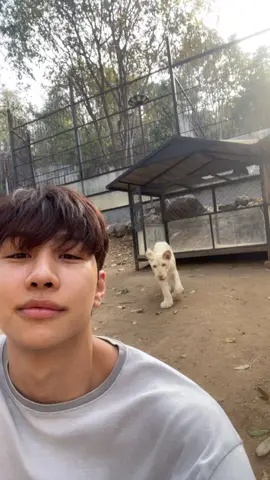 Time to say goodbye, Sunny will be right back soon🥺