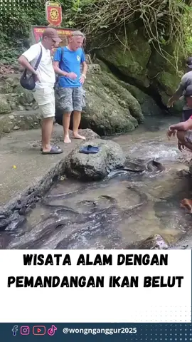Wisata Alam Dengan Pemandangan Ikan Belut #WongNganggur #news #fyp #beritaterkini #beritaterbaru #newsupdate #gosipartis #fypシ #fypシ゚viral #beritaviral #hotnews #breakingnews #beritaunik