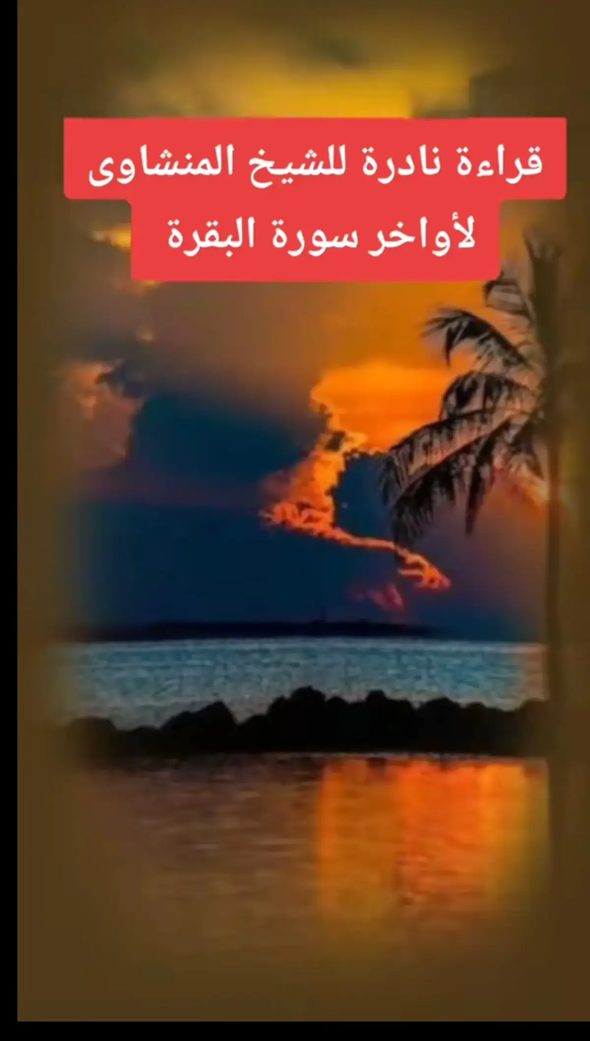 #الشيخ_محمد_صديق_المنشاوى  #الشيخ_المنشاوى_رحمه_الله  #خشوع_طمأنينه_راحه_للقلب  #استمع_للقرآن_الكريم_ثواني  #الا_بذكر_الله_تطمئن_القلوب  #تلاوة_خاشعة_صوت_يدخل_قلب  #تلاوة #تلاوة_قرانية  #القران #القران_الكريم_نور_القلوب  #القران_الكريم_راحه_نفسية😍🕋  #اذاعه #اذاعه_القرآن_الكريم  #استمعوا_بقلوبكم_الي_القرآن_الكريم❤️❤️  #المنشاوى #المنشاوى_جبل_الخشوع  #ارح_سمعك_بالقران_الكريم_أجر_لي_ولكم  #التيكتوك_بقا_للقران  #اكتب_شيء_تؤجر_عليه 