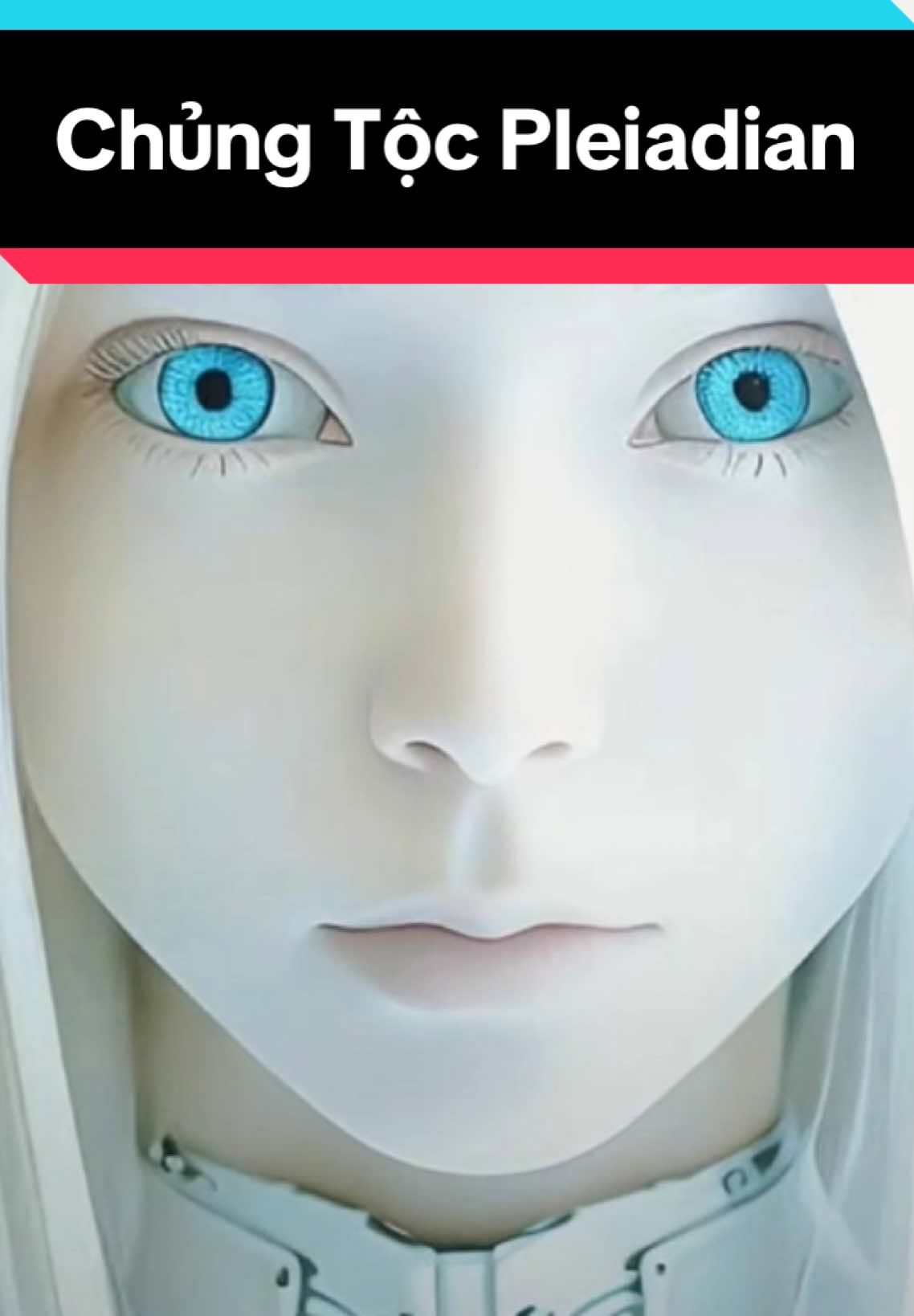 #Alien #alien #nguoingoaihanhtinh #tientri #ngườingoàihànhtinh #ufo #diabay #pleiadian #hieualien#2025 #chandong #chungtocpleiadian#58chungtoc 