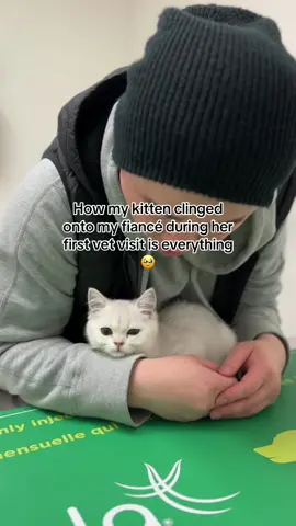 Cat dad is her safe haven💫 #catoftiktok #cutecat #kittycat #catlover 