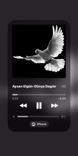 Yalan ayaqüstə yeriyir Allah)