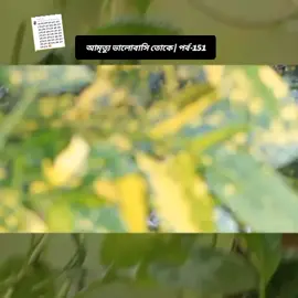 Replying to @sarangyaailovedidyou #সবাইকপি_লিংক_করো_প্লিজ_প্লিজ 