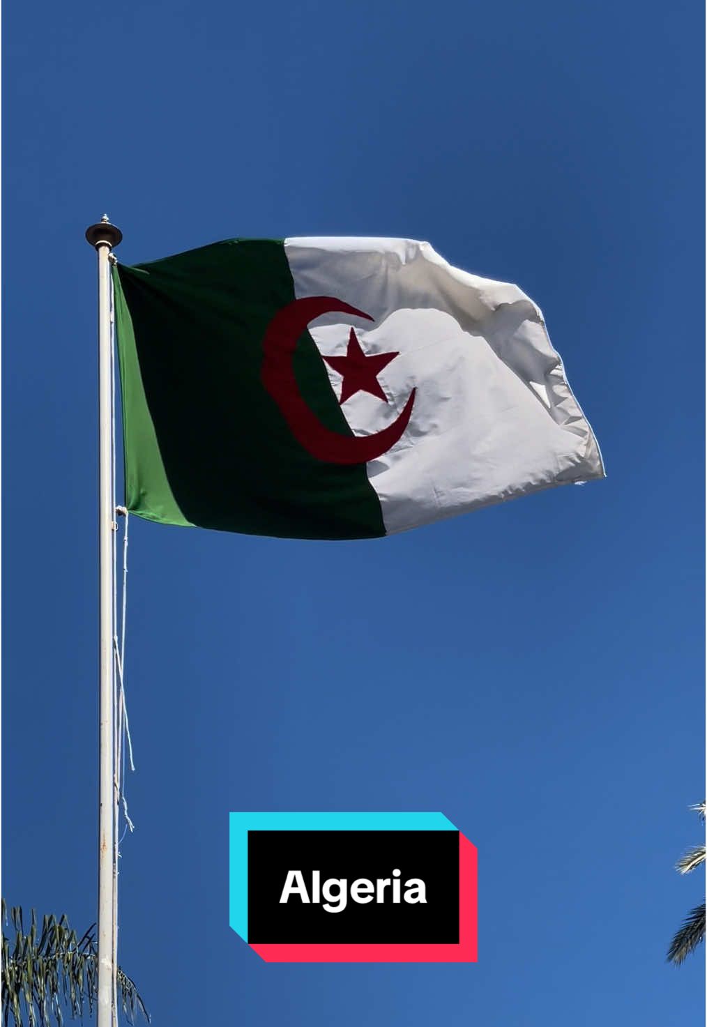 Currently in #algeria filming. Beautiful weather for January. #flags #flagsoftheworld #vexillology #vexillologytiktok #vexillologist #vexilología #flagstaff #flagpole #flagwaving 