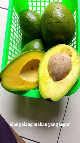 siang makan buah segar... #buahbuahan #alfuket #alfuketindonesia #pyp #viral #fotobuah 