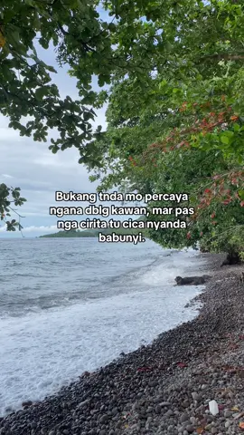 Kalo cica babunyi bararti butul 🙏🏻 #manadopunya #manadotiktok #quotes #fypシ 