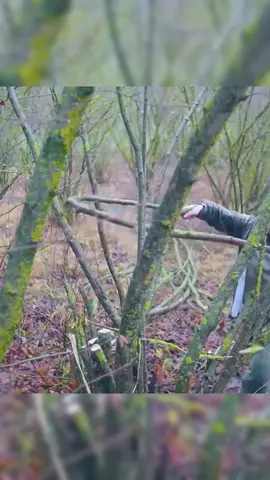 Build a Winter Jungle Shelter to Survive #bushcraft #build #camp #camping #survival #shelter #wildlife #Outdoors #outdoor #viralvideo #fyp