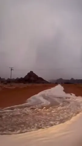 #اكسبلورررررررررررررررررررررررررر❤ #مجرد_ذووقツ🖤🎼 