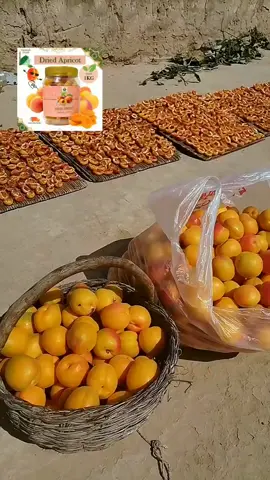 snacks#buahapricot #driedapricot #snack #apricot 