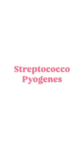 Influenza stagionale? Scopriamo insieme la possibile causa 🦠  @Sofia Viola @Ceci ✨🧫 #microbiology #streptococcopyogenes #batteri #microlabvibes #streptococco #maldigola #throathurts #antibiogramma #antibiotics #antibioticresistance #fyp 