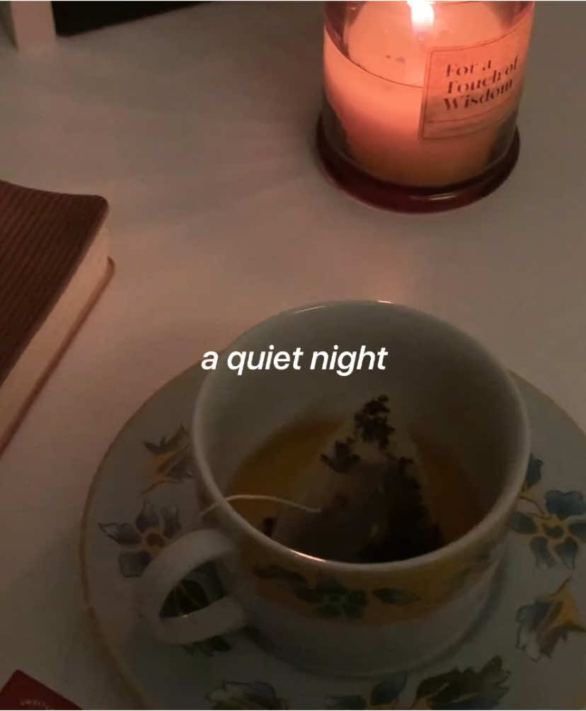 the quiet after the chaos feels like a hidden sanctuary #adayinmylife #nightroutine #digitaldiaries #minivlog #fyp 