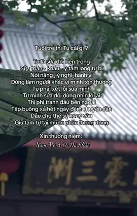 Tuổi trẻ thì tu cái gì …?#phatphapnhiemmau #daophatbinhan #tutaptaigia🍀 #tutaptinhtan🙏🏻 #binhyen🤍🕊️ #binhantrongchanhniem #loiphatday🙏 