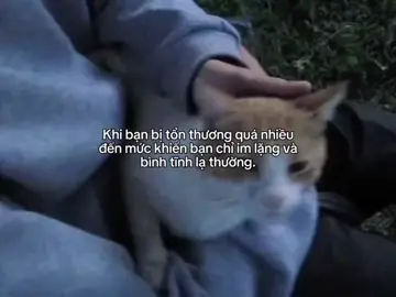 khi bạn bị tổn thương quá nhiều ......#story #buon #tamtrang_camxuc #tam_trang_buon #tonthuong💔😌 #tonthuongtrongem #story #x #xh #xuhuong #xuhuongtiktok #fyp #fypシ #fyppppppppppppppppppppppp #xhhhhhhhhhhhhhhhhhhhhhhh #viral #viralvideo #viraltiktok #codon 