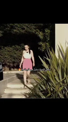 #قسمة_ونصيب #شاهيناز_الجزائرية #explore #الشعب_الصيني_ماله_حل😂😂 