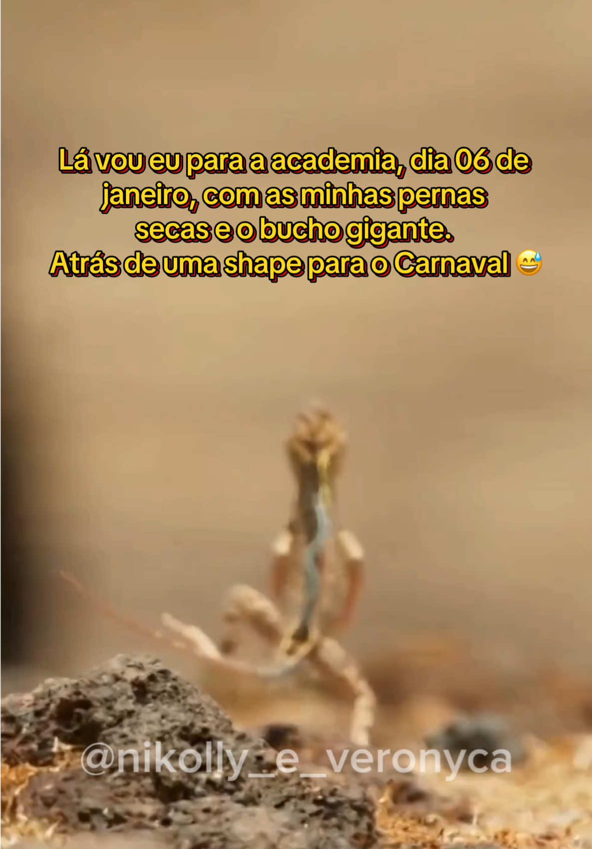 #2025 #carnavaltiktok #anonovo #shape #exercicios #academia #janeiro #humortiktok #memestiktok 