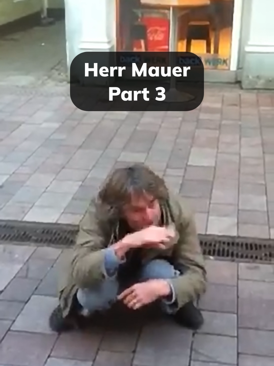Wer kennt schon diesen Part von Herr Mauer? 😂 ❤️ #herrmauer #hrmauer #mem #cringetok #memestiktok #funmeme 