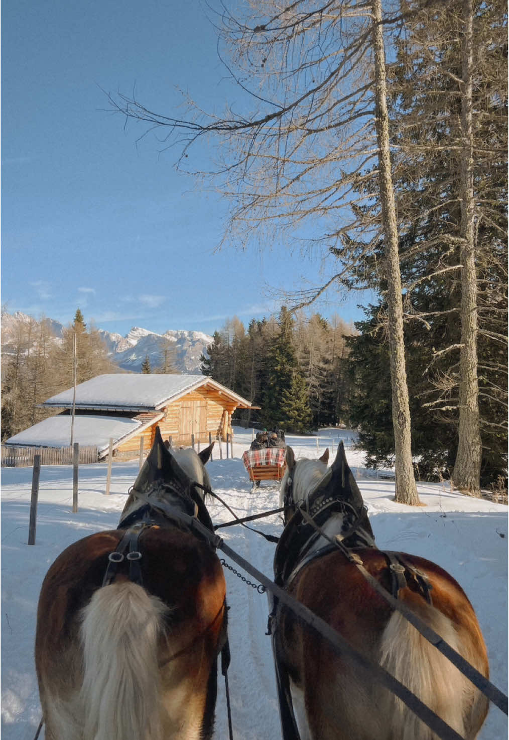 a fairytale ride 🥺  #fyp #foryou #foryoupage #hijabigirl #winter #dolomites #dolomiti #alpedisiusi #4u #pourtoi #horsedrawncarriage #winteractivities 