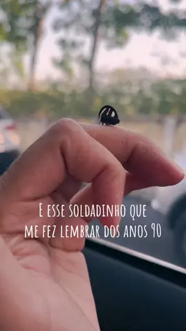 #soldadinho #insetos #anos90 #infancia 