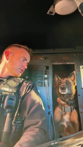 Rex trying to intimidate the pup cup makers… #k9softiktok #k9rex #copsoftiktok 