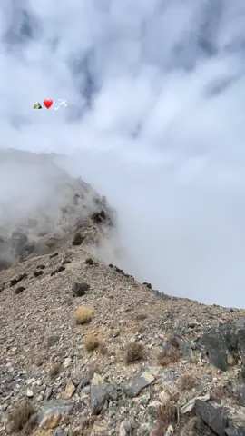 چلتن موسم❤️⛰️#goriiadventure #foryou 