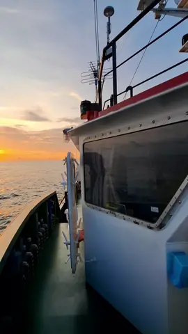 😇   #storypelautindonesia🇮🇩  #tugboatstory  #fyp  #sunset 