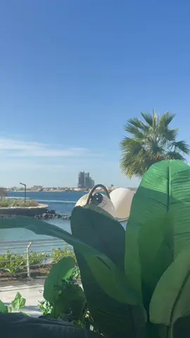 عن جابر بن عبد الله رضي الله عنهما قال  أَمَرَ رسول الله صل الله عليه وسلم بلَعْقِ الأصَابِعِ وَالصَّحْفَةِ، وَقالَ: إنَّكُمْ لا تَدْرُونَ في أَيِّهِ البَرَكَةُ رواه مسلم #الواجهة_البحرية_جدة #thegoatlife #جدة 