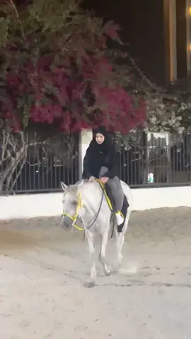 #الطائف #جده #خيل_وخياله🐎 #سعوديه🇸🇦 