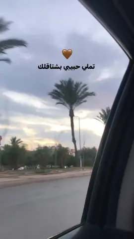 تملي حبيبي بشتاقلك🤎☁️#الشعب_الصيني_ماله_حل😂😂 