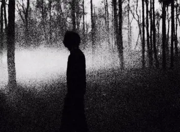 حقيقي || #fyp #wintervibe #eveningvibes #evening #poisontree #aesthetic #WinterVibes #foryou #lyrics #calming #الخط_الأحمر #اغنيه 